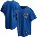 Men's Chicago Cubs Nike Royal Alternate Team MLB Jersey