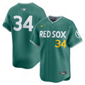 David Ortiz Boston Red Sox Nike 2025 City Connect Limited Retired Player MLB Jersey - Green