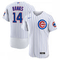 Ernie Banks Chicago Cubs Nike Home Authentic Retired Player MLB Jersey - White