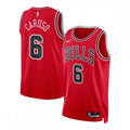 Alex Caruso Chicago Bulls Nike Unisex Swingman NBA Jersey - Icon Edition - Red