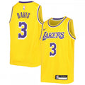 Anthony Davis Los Angeles Lakers Nike Youth Swingman NBA Jersey - Icon Edition - Gold