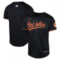 Baltimore Orioles Nike Youth Alternate Limited MLB Jersey - Black