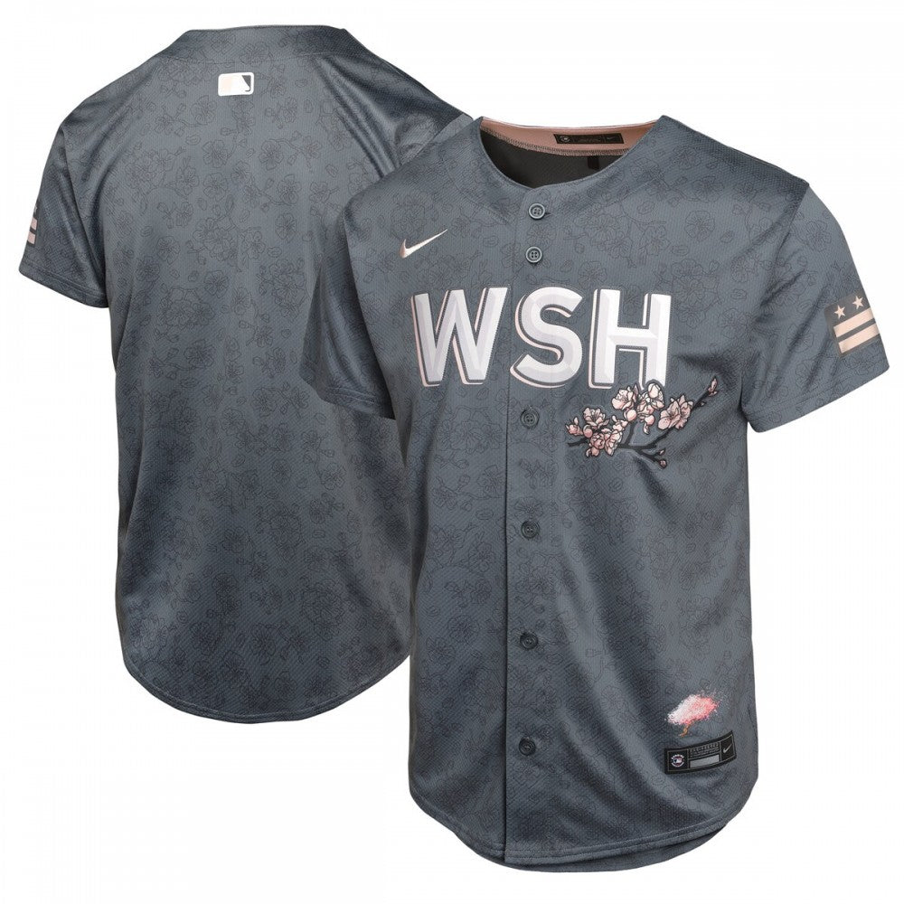Washington Nationals Nike Youth City Connect Limited MLB Jersey - Charcoal