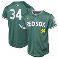 David Ortiz Boston Red Sox Nike Youth 2025 City Connect Limited Retired Player MLB Jersey - Green