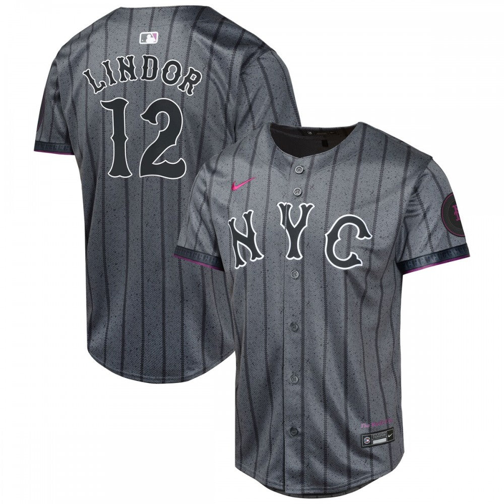 Francisco Lindor New York Mets Nike Youth 2024 City Connect Limited Player MLB Jersey - Graphite
